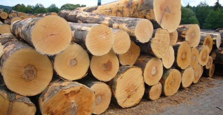 Ứng dụng thực tế của gỗ sồi là gì?