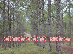 go-thong-co-tot-khong